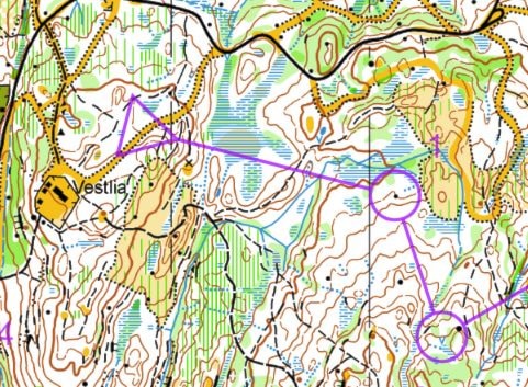 Gaute nr.11 i Asker